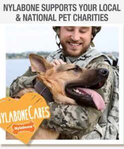 Nylabone Wishbone Power Chew Dog Toy Medium/Wolf (1 Count) Medium up to 35 lbs. 25 81H0JEIHTiL 2