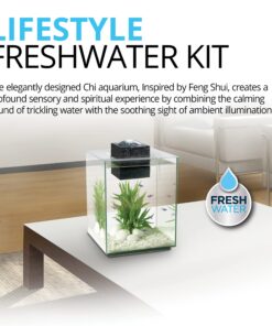 Fluval Chi II Series Aquarium Set, 5-Gallon - Aquarium Tank with Ambient LED Lighting, Flowing Water, and Elegant Design, White 5 gal 35 81H3RQonOKL