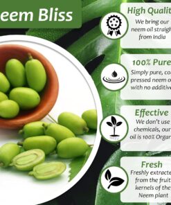 Neem Bliss - Pure Neem Oil for Plants - Organic Neem Oil Spray for Plants, 100% Cold Pressed Neem Oil - OMRI Listed Pure Neem Oil - All-Natural Neem Oil Concentrate Leaf Polish For Plants (16 Fl Oz) 16 Fl Oz 25 81H3UZqKQ2L