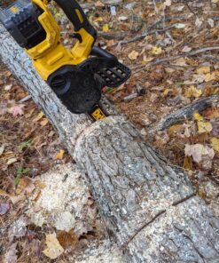 DEWALT 20V MAX* XR Chainsaw, 12-Inch, Tool Only (DCCS620B) Chainsaw Bare Tool Only 44 81H615oBYmL