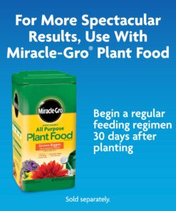 Miracle-Gro Moisture Control Potting Mix - Soil for Indoor & Outdoor Containers, Added Fertilizer Feeds Up to 6 Months, 8 qt. 8 qt. 33 81H87FApyL