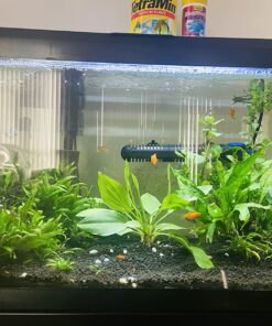 Seachem Flourish Tabs Growth Supplement - Aquatic Plant Stimulant 10 ct 29 81HCmxQ5stL