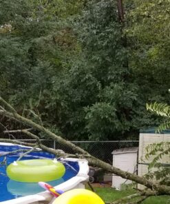 WORX WG303.1 14.5 Amp 16" Electric Chainsaw 16" 14.5Amp Electric Chainsaw 56 81HEComUvhL