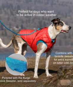 Kurgo Loft Dog Jacket, Reversible Dog Coat, Wear with Harness or Sweater, Water Resistant, Reflective, Winter Coat For Medium Dogs (Coastal Blue, M) Coastal Blue/Orange 32 81HHNLgifbL