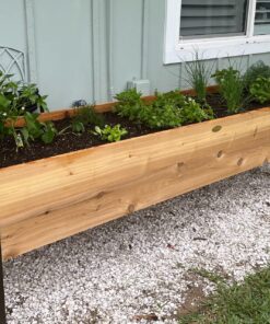 Gardener's Supply Company Raised Garden Bed Elevated Cedar Planter Box | 2' x 8' Standing Garden for Outdoor Plant Vegetables & Flower Gardening Perfect for Patio Deck & Backyard 30 81HHhoYIAML