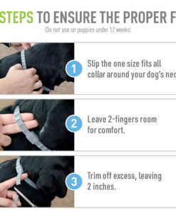 Adams Flea & Tick Collar for Dogs & Puppies |2 Pack |12 Months Protection |Adjustable One Size Collar Fits All Dogs 12 Weeks & Older |Kills Fleas & Ticks |Repels Mosquitoes (excluding California) 22 81HHnVmnuxL