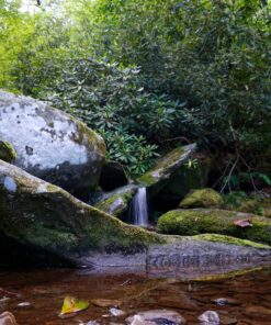 Foto&Tech IR Wireless Remote Control Compatible with Sony A7R IV III II,A7III A9 A7 II A7 A7R A7S A6600 A6500 A6400 A6300 A6000 A55 A65 A77 A99 A900 A700 A580 A560 A550 A500 NEX-7 NEX-6 NEX5T NEX-5R 1 PC Black 40 81HIyydF6aL