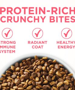 Purina ONE High Protein, Natural Dry Kitten Food, +Plus Healthy Kitten Formula - 16 lb. Bag Dry Food Chicken 16.00 Pound (Pack of 1) 24 81HOr03OQDS