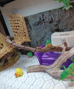 Eva-dry E-333 Mini Dehumidifier, Pack of 1, White Sand 43 81HQadWwxVL