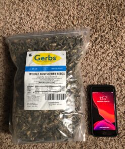 Lightly Sea Salted Sunflower Seed in Shell by Gerbs - 2 LBS - Top 11 Food Allergen Free & Non GMO - Premium Dry Roasted Seeds – COG USA Light Sea Salt 2 Pound (Pack of 1) 30 81HTdQ8YDaL 1