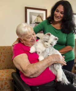 JOY FOR ALL - Silver Cat with White Mitts - Interactive Companion Pets - Realistic & Lifelike 18 81HTx7rQfBL