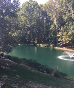 Airmax Pond Dye 4X Concentrate for Outdoor Ponds & Lakes, Natural Pond Colorant & Water Beauty Enhancer, Block Ultraviolet Rays, Fish, Bird & Livestock Safe, Easy Liquid Application, 1 Quart Twilight Blue - 1 Quart 26 81HUdzX8RzL