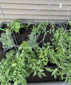 Lifetime 60069 Raised Garden Bed Kit, 4 by 4 Feet, Pack of 3 63 81HVwqF36 L