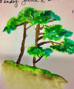 conda 8.5"x11" Hardbound Sketch Book, Double-Sided Hardcover Sketchbook, Spiral Sketch Pad, Durable Acid Free Drawing Art Paper for Kids & Adults A413723 8.5"x11" 27 81HaXeb5FlL