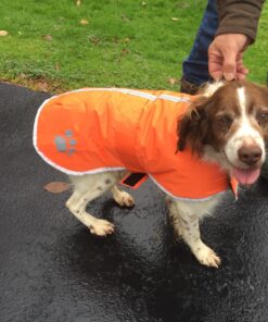 Zack & Zoey Nor'easter Blanket Coat for Dogs, 20" Large, Orange 1 L (Neck: 17", Girth: 28", Back: 20") 38 81HavcsYZTL 3