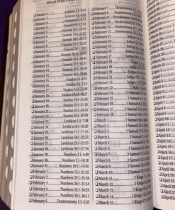 KJV Holy Bible, Giant Print Standard Size Faux Leather Red Letter Edition - Thumb Index & Ribbon Marker, King James Version, Dark Brown 75 81HbxbF3IL