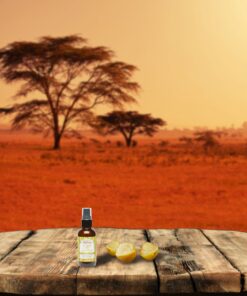 Shea Terra Namibian Marula Cold-Pressed Extra Virgin Oil | Nutrient-Rich, All Natural & Organic Oil with Essential Fatty Acid and Powerful Antioxidants for Dry and Mature Skin – 2 oz 2 Fl Oz (Pack of 1) 10 81HdIQb4TmL