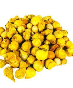 Morel Distribution Company Japanese Garlic (150 Cloves) + Moringa Seeds (1 oz) Bundle! 4 81Hfra6WIPL