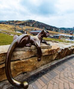 Nikon AF DX NIKKOR 10.5mm f/2.8G ED Fixed Zoom Fisheye Lens with Auto Focus for Nikon DSLR Cameras 33 81Hi4XqWc L