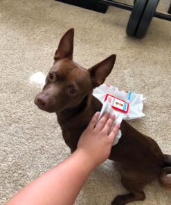 Nature's Miracle Deodorizing Bath Wipes for Dogs 35 81HkweoMP3L