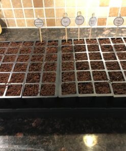 Burpee Self-Watering Seed Starter Tray, 72 Cells 72 Cell Self-Watering Starter 38 81HmWwQ9YjL