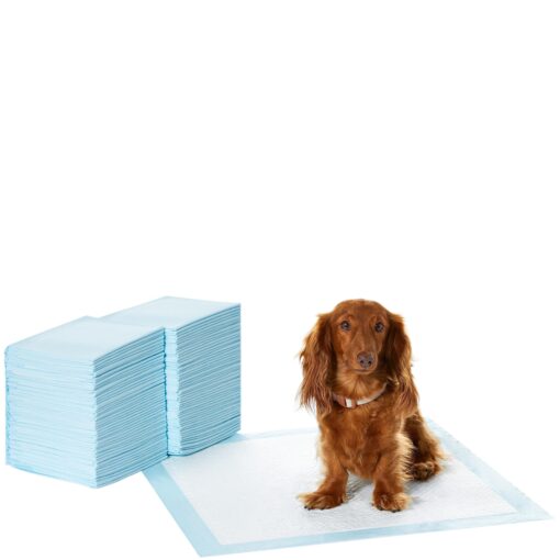 Amazon Basics Dog and Puppy Pee Pads with Leak-Proof Quick-Dry Design for Potty Training, Standard Absorbency, Regular Size, 22 x 22 Inches, Pack of 100, Blue & White Unscented Regular (100 Count)