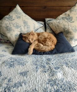 Purina Fancy Feast Chicken Feast Classic Grain Free Wet Cat Food Pate - 3 oz. Can 3.00 Ounce (Pack of 24) 23 81HpT9qAdIL