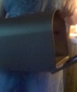 Gibraltar Mailboxes Elite Medium Capacity Galvanized Steel Bronze, Post-Mount Mailbox, E1100BZO 34 81HpgLKxbL