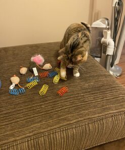 SPOT Ethical Products Ethical Wide Colorful Springs Cat Toy, Medium Breeds 42 81HrKOoL6YL