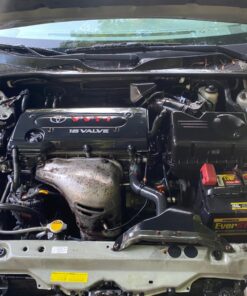 Gunk FEB1 Foamy Engine Brite Engine Cleaner - 17oz. One Each, 17 oz. 31 81Hug5Ia4EL