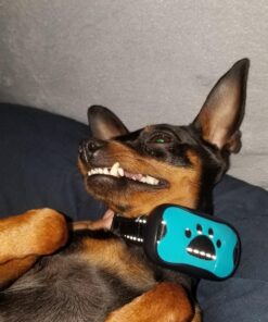 Dog Bark Collar - Stop Dogs Barking Fast! Safe Anti Barking Devices Training Control Collars, Small, Medium and Large pet deterrent. No shock, remote or citronella. Sound, vibration training device 34 81HvoPnqn1L