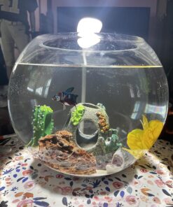 DEEPLITE LED Desk Lamp with Flexible Gooseneck 3 Level Brightness, Battery Operated Table Lamp 5W Touch Control,Compact Portable lamp for Dorm Study Office Bedroom,Eye-Caring and Energy Saving White 1 Pack 49 81I rSndjL