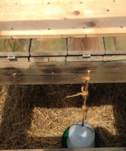 Harris Farms Plastic Poultry Drinker, 5 Quart 7 81I0BRDKFlL