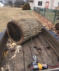 Extreme Max 5600.3084 Universal 2" Receiver Hitch Winch Mount for ATV/UTV 2" 29 81I0pz23dIL