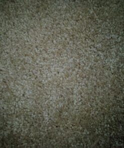 Nature's Miracle Advanced Formula Severe Stain & Odor Remover 20 81I1q0dUq6L