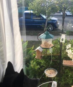 Sorbus Bird Feeding Station - 7ft Tall Metal Pole Bird Feeder Stand with 2 Ground Stake Prongs & 4 Hangers with Bird Bath, Bird Food Mesh Tray for Attracting Wild Birds Outside, Garden Decor, Plants 2-Prong Stake 32 81I4kMsnzrL