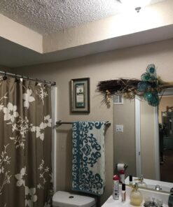 Philips LED Frosted A19 Light Bulb, Non-Dimmable, 800 Lumen, Daylight (5000K), 9W=60W, E26 Base, 16-Pack Daylight (5000k) 16 Count (Pack of 1) 55 81I5LIMO33L