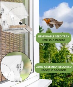 Large Clear Window Bird Feeder - Extended House with Strong Suction Cups - Steel Perch Sliding Feed Seed Tray - See Through Transparent Big Birdhouse - Wild Finch, Cardinal, Blue Jay - Cool Cat Gift 56 81I6Fp9a6SL