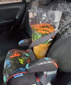 Graco TurboBooster Backless Booster Car Seat, Dinorama Dinorma 41 81I710PRQjL