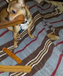 Downtown Pet Supply Yak Cheese Himalayan Dog Chews (1 lb) - 100% Natural, 3 Ingredients, USA Packed - Protein & Calcium Rich Dog Treats for Small to Large Dogs - Long Lasting Rawhide Free Yak Chews 1.00 Pound (Pack of 1) 40 81I9iRyzRKL