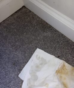 BUBBAS Super Strength Enzyme Cleaner - Pet Odor Eliminator - Carpet Stain Remover - Remove Dog & Cat Urine Odor from Mattress, Sofa, Rug, Laundry, Hardwood Floors and more. Puppy Training Supplies 128 Fl Oz (Pack of 1) 31 81IA0DlV4L