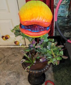 FolkArt PROMO830 Multi Satin Finish Acrylic Craft Paint Set Designed for Beginners and Artists, Non-Toxic Formula That Works on All Surfaces, 2 oz, 2 Fl Oz (Pack of 12), 12 Colors May Vary, 24 52 81ICA8sX jL