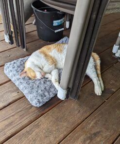 MidWest Homes for Pets Deluxe Dog Beds | Super Plush Dog & Cat Beds Ideal for Dog Crates | Machine Wash & Dryer Friendly, 1-Year Warranty,Gray Gray 22-Inch 31 81IEQ28FpUL 1