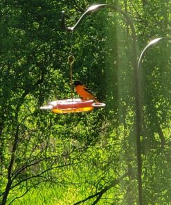 Songbird Essentials Bird Berry Jelly 20 Oz Purple 22 81IG2NZMHhL