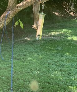 12 Inches Tube Bird Feeders for Outdoors Hanging, 4 Feeding Ports, Hard Plastic Bird Feeder Outdoor Weatherproof and 4 Inch Steel Hanger, Wild Bird Feeders, Finch Feeder, Bird Feeders Outside Hanging 1 4 Ports 38 81IIAMA7L1L