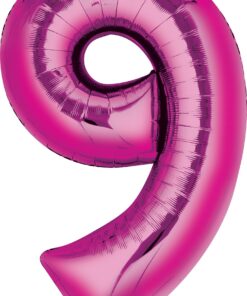 The Descendants Party Supplies and 9th Birthday Balloon Bouquet Decorations 16 81IWqfzY2RL