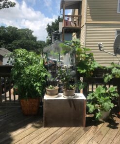 (12) Variety Pack Herb Garden Seeds | Basil, Cilantro, Parsley & More | ~4,000 Non GMO Heirloom Seeds | Survival Food for Survival Kits Gardening Gifts & Emergency Supplies by Open Seed Vault Herb Kit 12 pack 41 81IYp5gUpZL 1