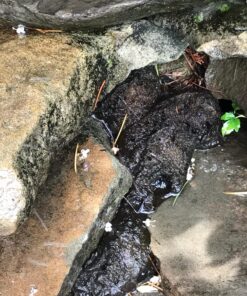 Great Stuff 283064 12OZ GS Pond&Stone Foam Sealant, Each, Black Pond & Stone 36 81IcomXoXL