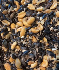 Kaytee Nut and Fruit Blend, 20-Pound 20 Pound (Pack of 1) 23 81IeQ41rYRL