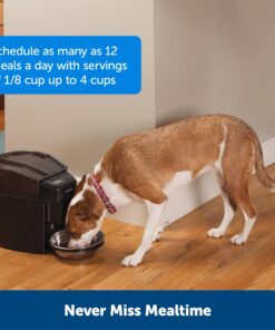 PetSafe Healthy Pet Simply Feed - Automatic - Headquartered in Knoxville, TN - Automatic Dog Feeder from the Engineers of the Smart Feed & Dancing Dot - 1-Year Comprehensive Protection Plan,Black 34 81Iisjz2luL